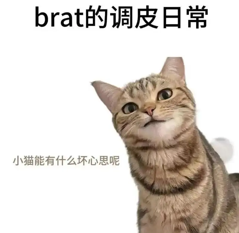 【西檬之家】字母圈新人入圈指南：读懂圣水与核心术语