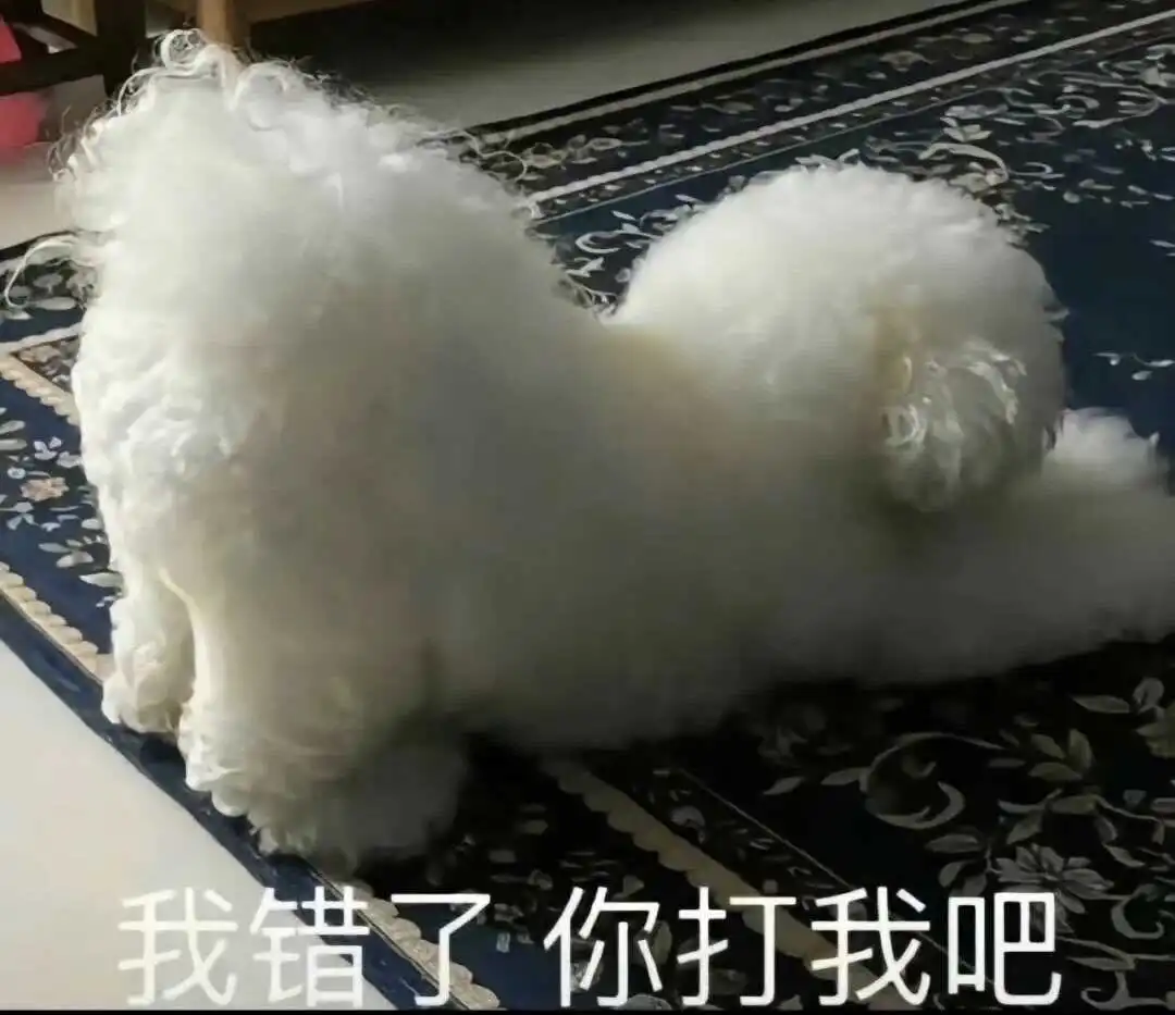 西檬之家-PE是什么？BDSM新人的权力交换指南