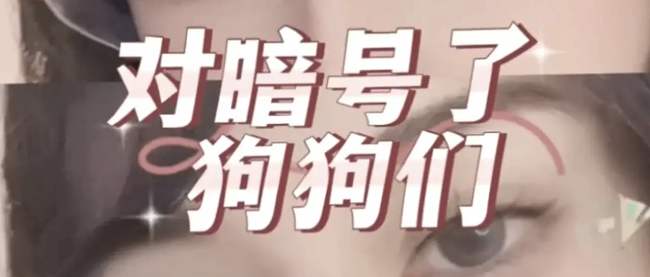 【西檬之家】Brat属性：从新人角度看字母圈中Brat的角色与意义