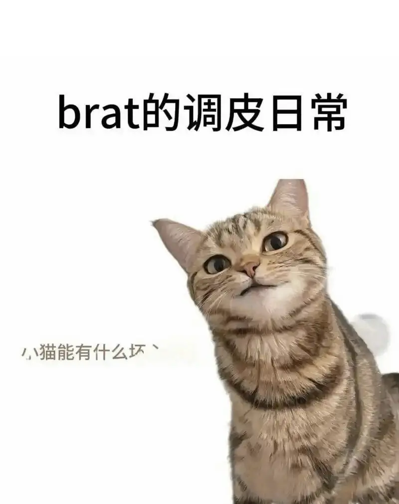 西檬之家-恋足癖是什么？在BDSM中的实践与定义