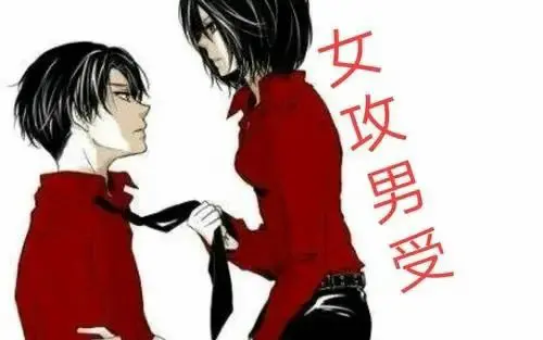 【西檬之家】BDSM字母圈的DOM是什么意思？