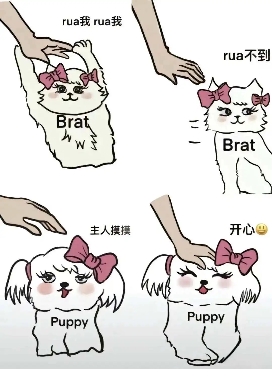 西檬之家-字母圈新人入圈指南，从入门术语到核心原则