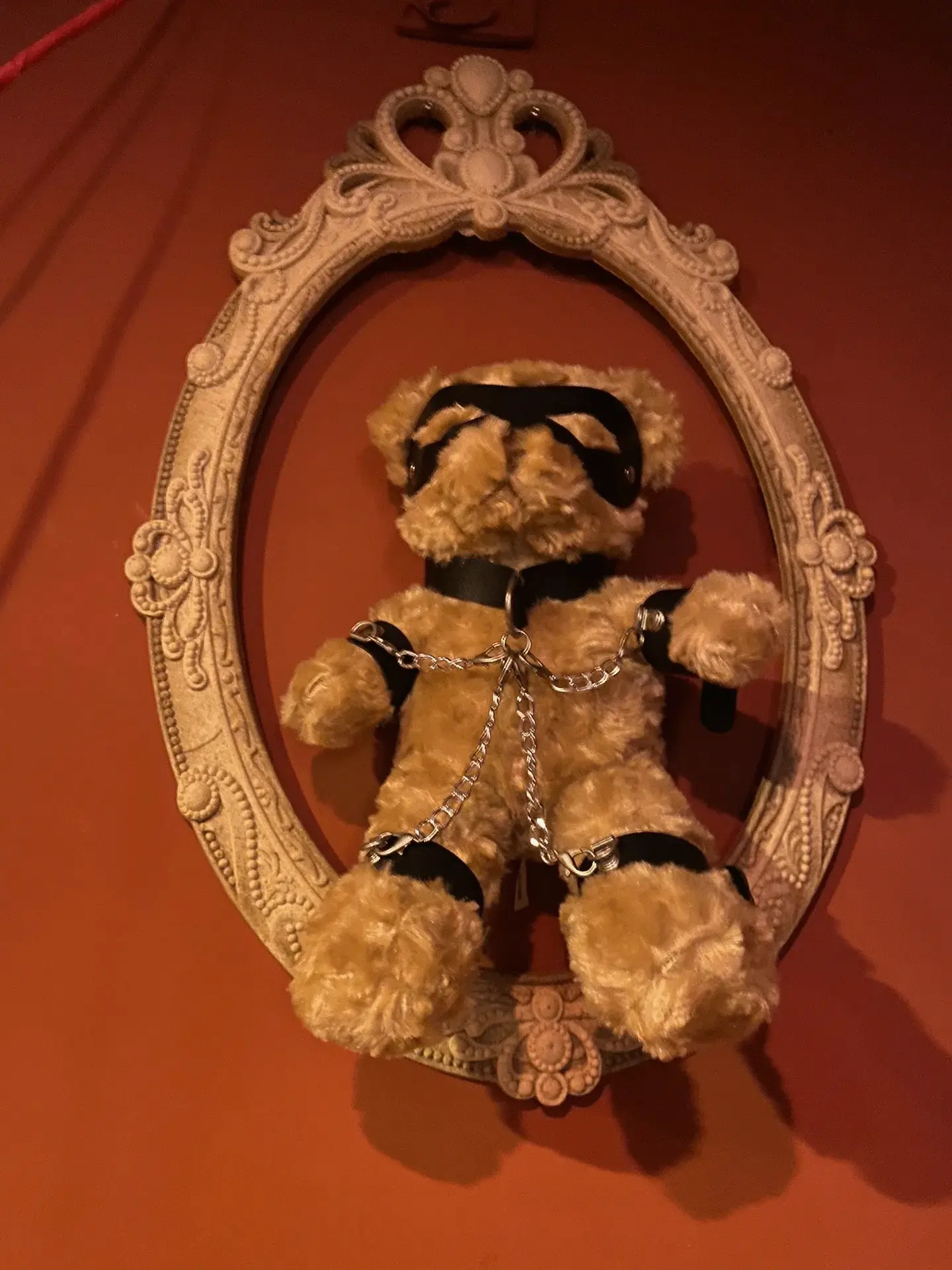 【西檬之家】BDSM入门：读懂Sp与大圈小圈的核心概念