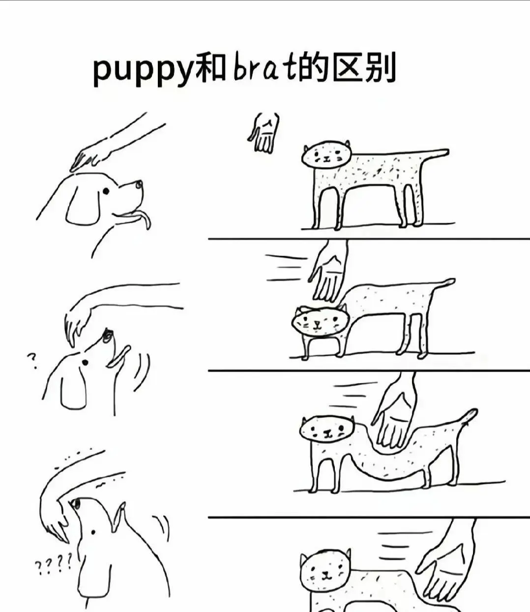 西檬之家-BDSM中的Dom是什么意思？字母圈新人权威指南